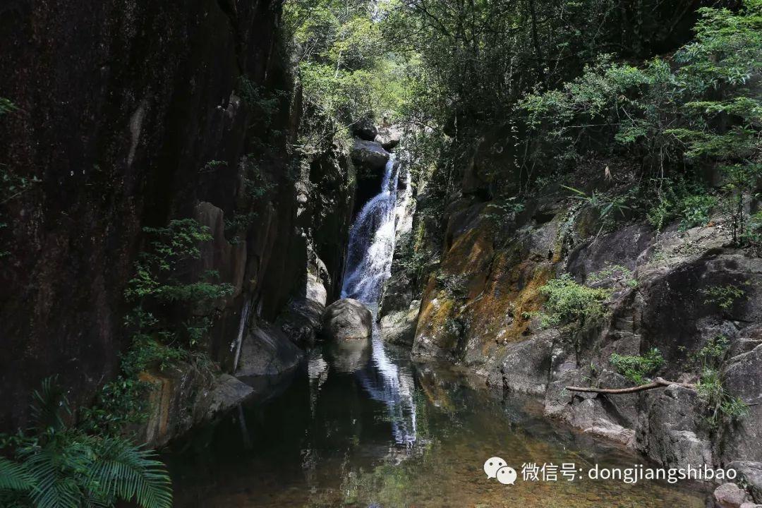 清凉夏日冰淇淋
