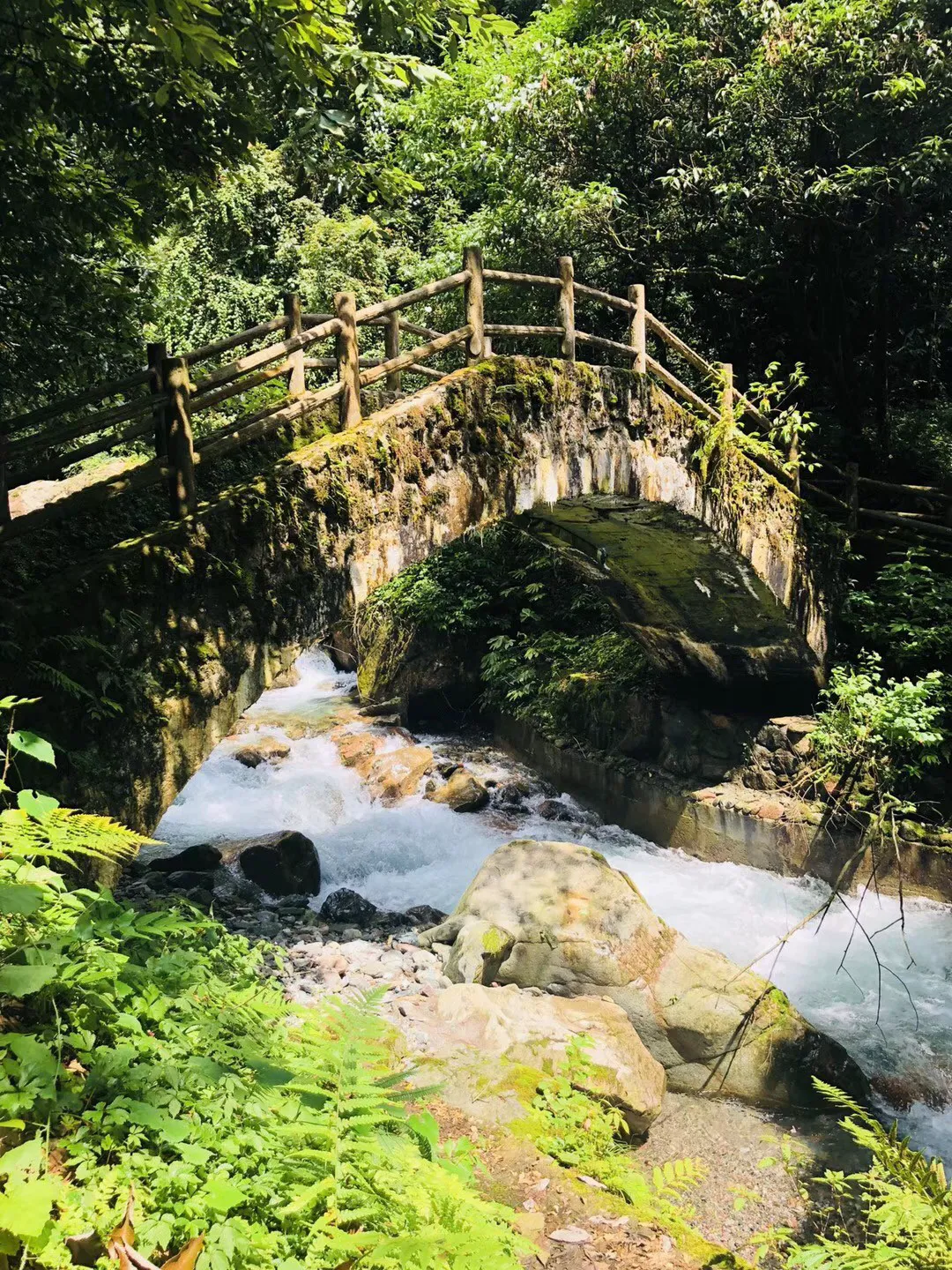 观察者