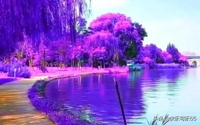 桃花侠守卫战